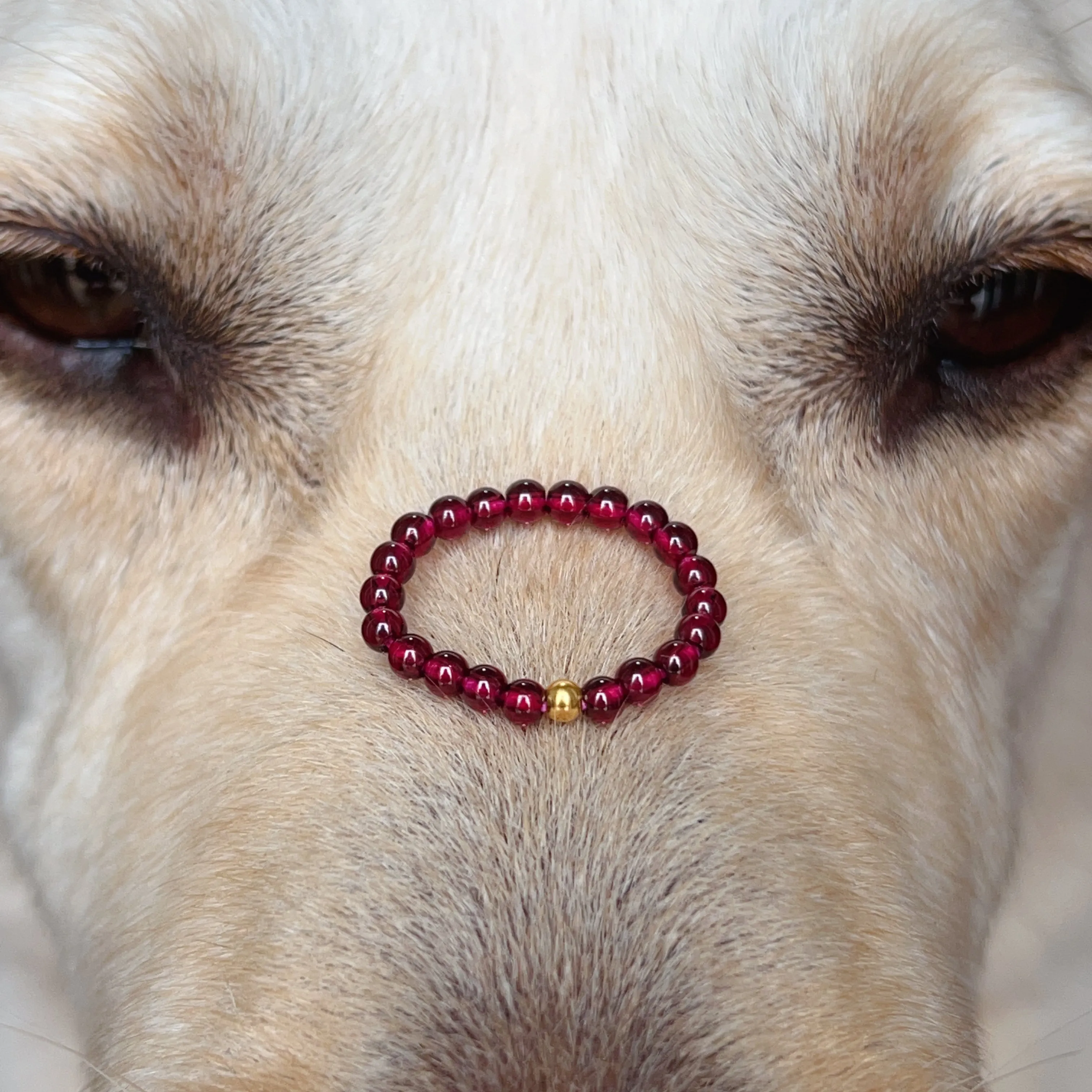 3mm Protection Red Garnet Crystal Ring with 18K Yellow Gold Bead | Root Chakra Healing Stone Jewelry