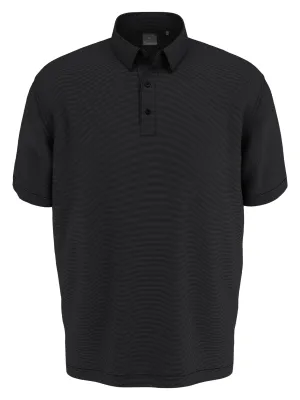 Big & Tall Fine Line Stripe Polo