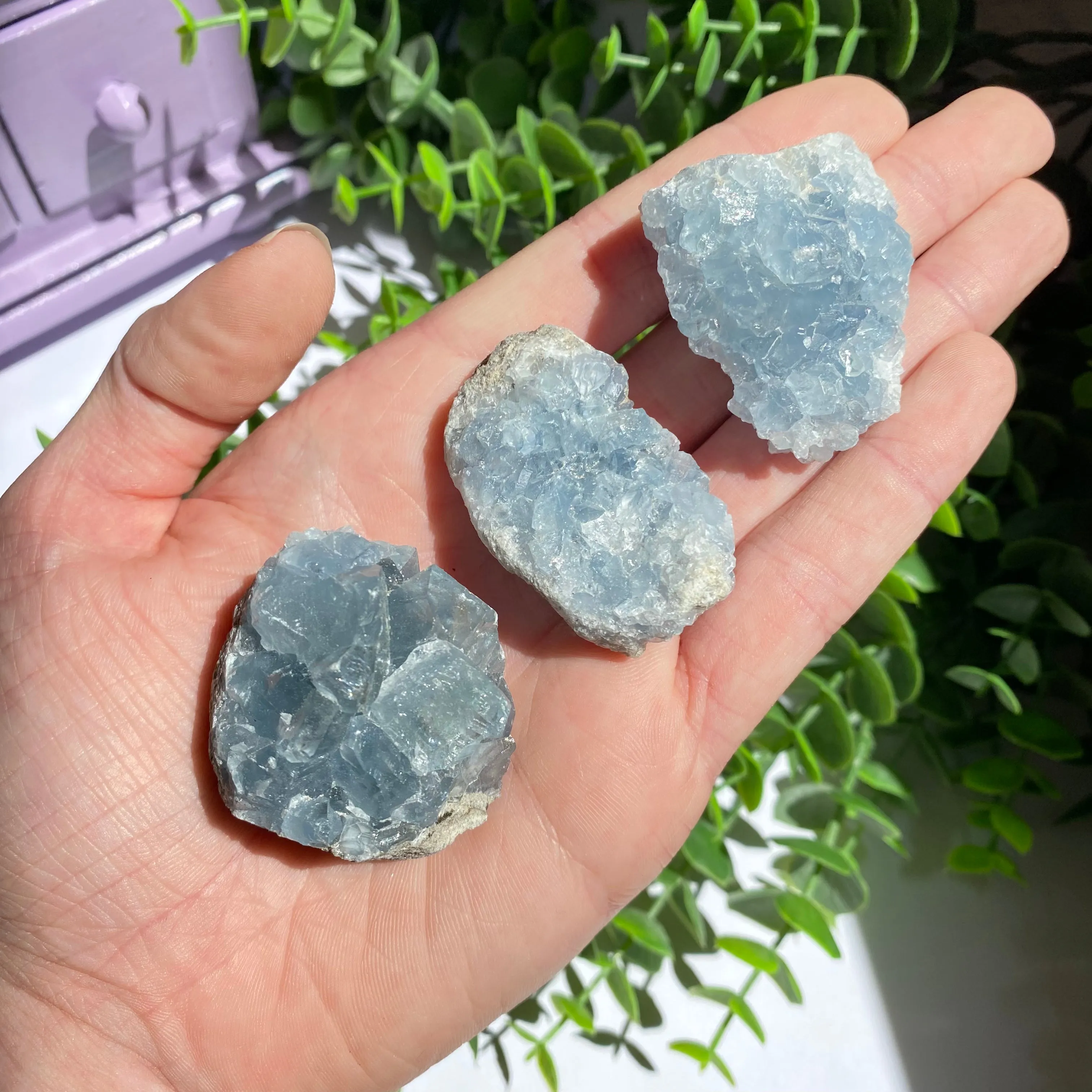 Celestite Cluster