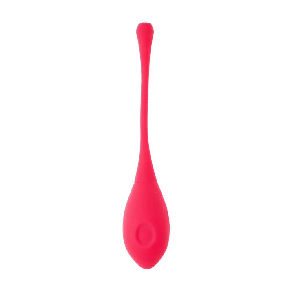 Share Satisfaction Eyden Vibrating Kegel Egg