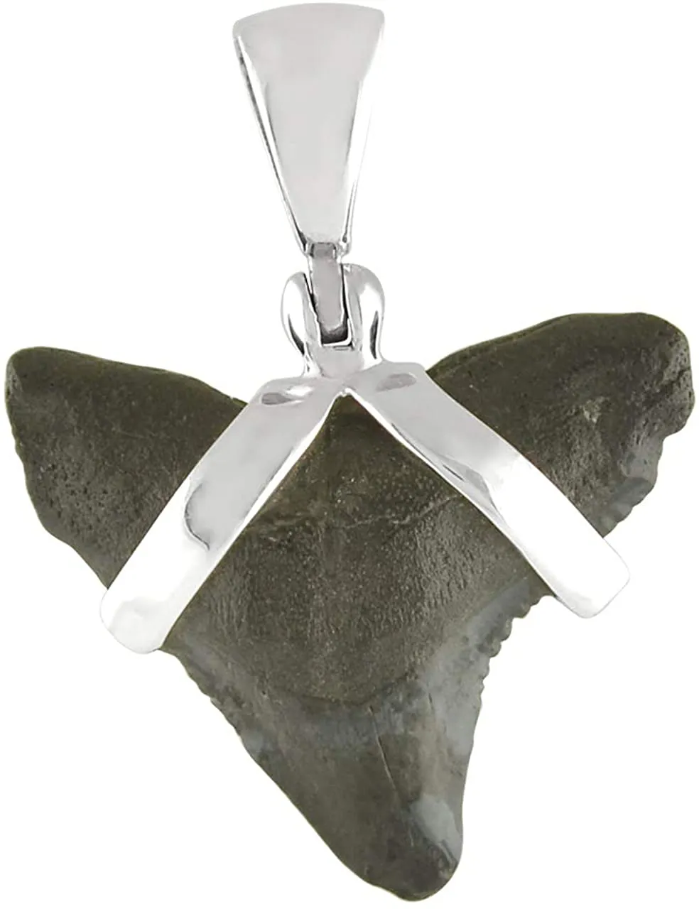 Starborn Fossilized Sharktooth 925 Sterling Silver Pendant