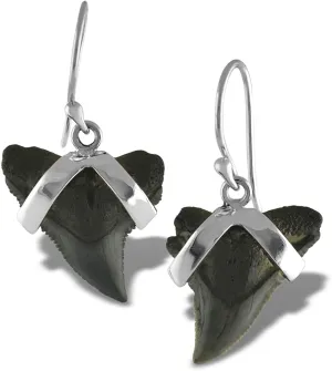 Starborn genuine fossilized Sharkteeth 925 Sterling Silver Earrings