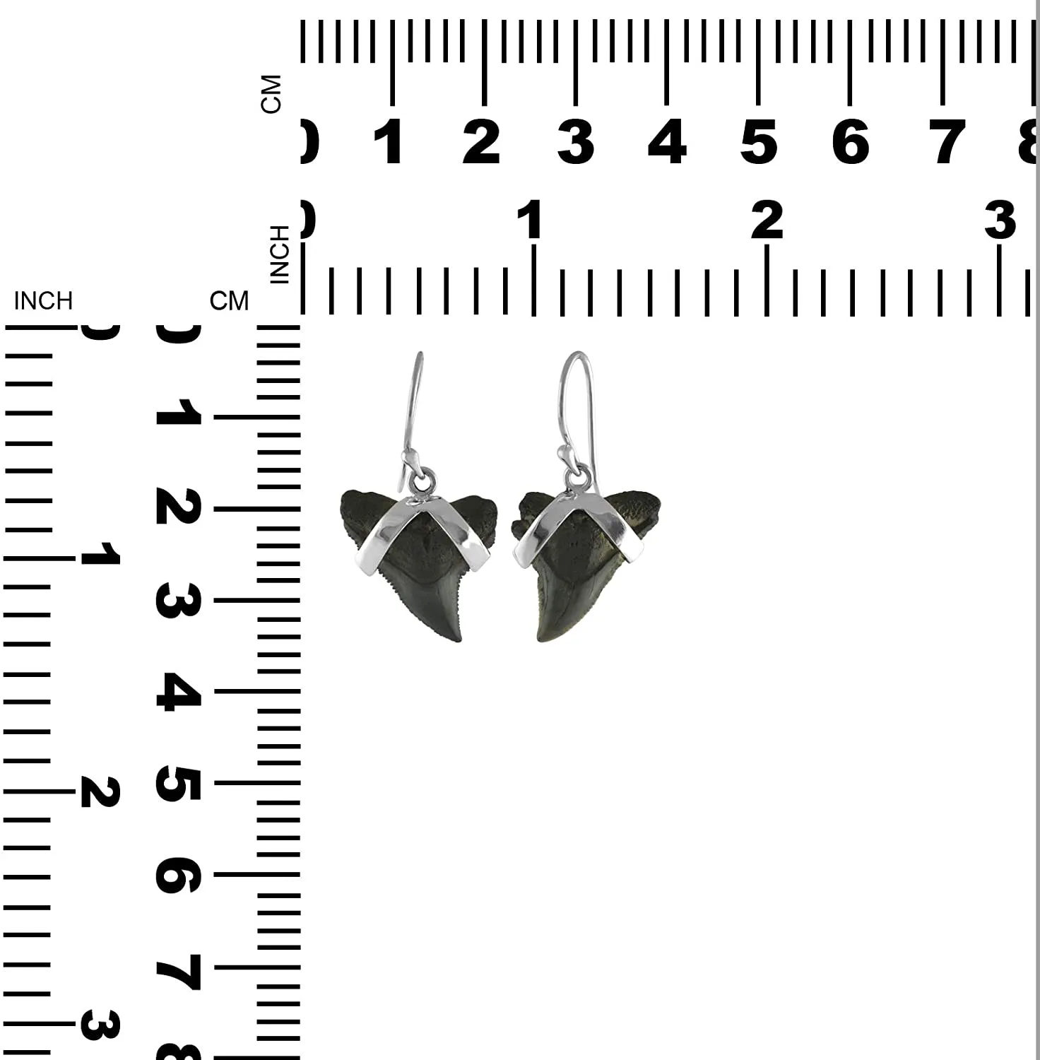 Starborn genuine fossilized Sharkteeth 925 Sterling Silver Earrings