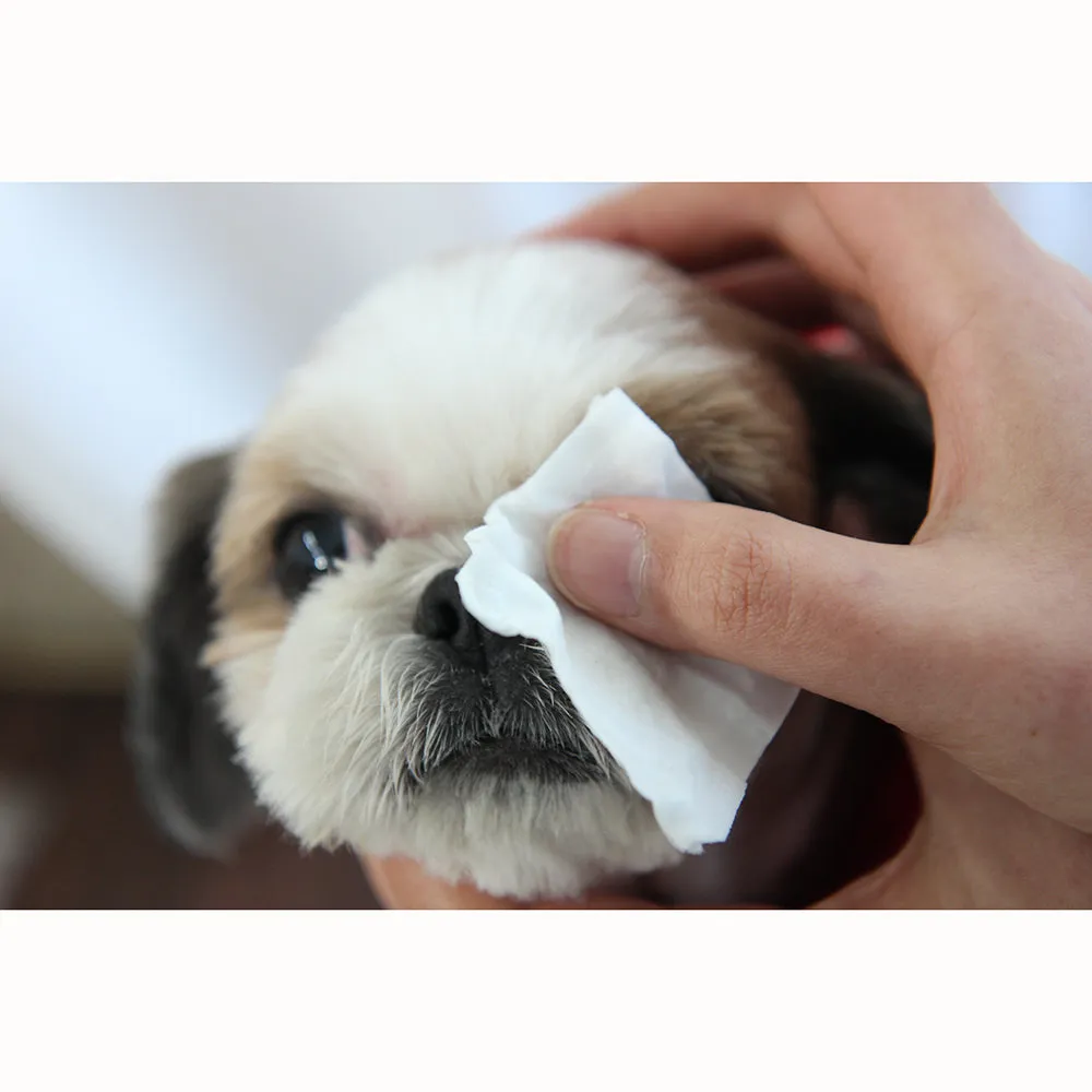 The Dog Eye Cleaning Pad