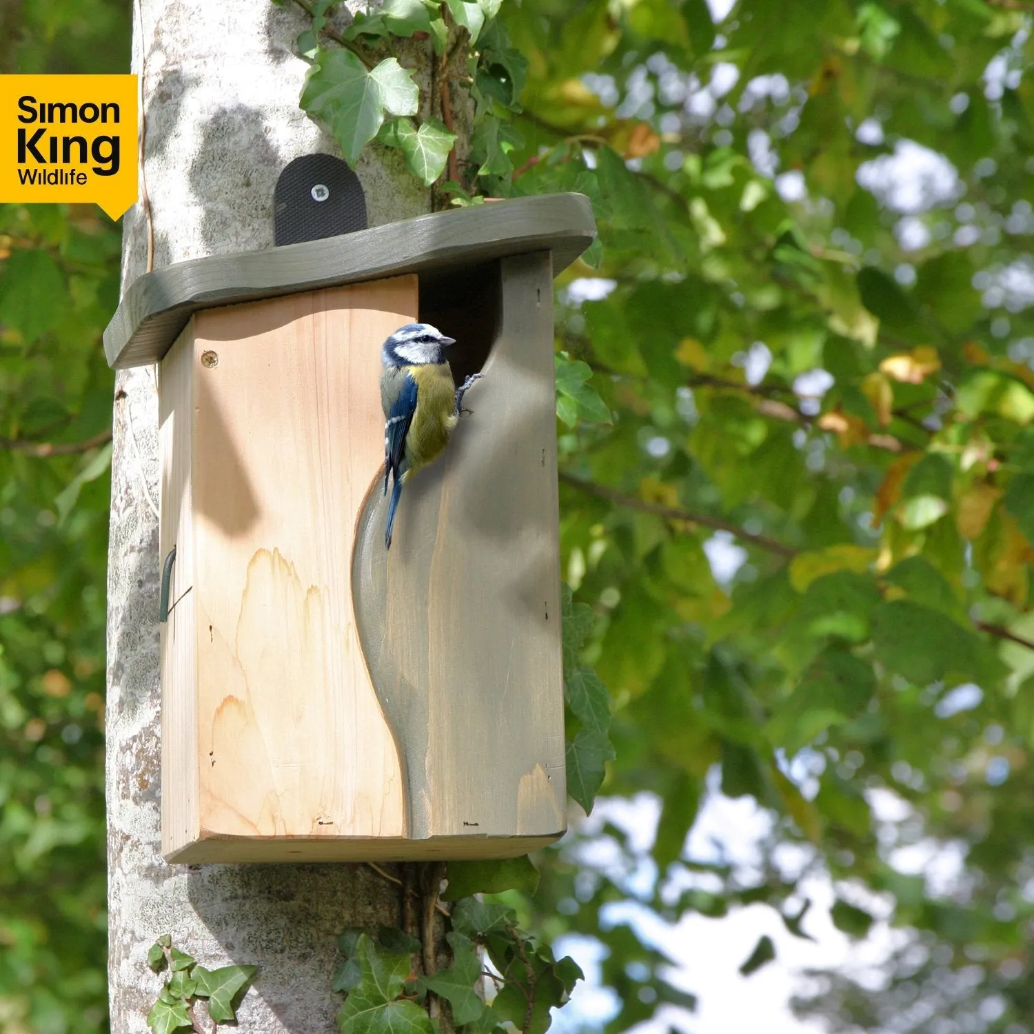 Wildlife World Simon King Curve Cavity Nest Box