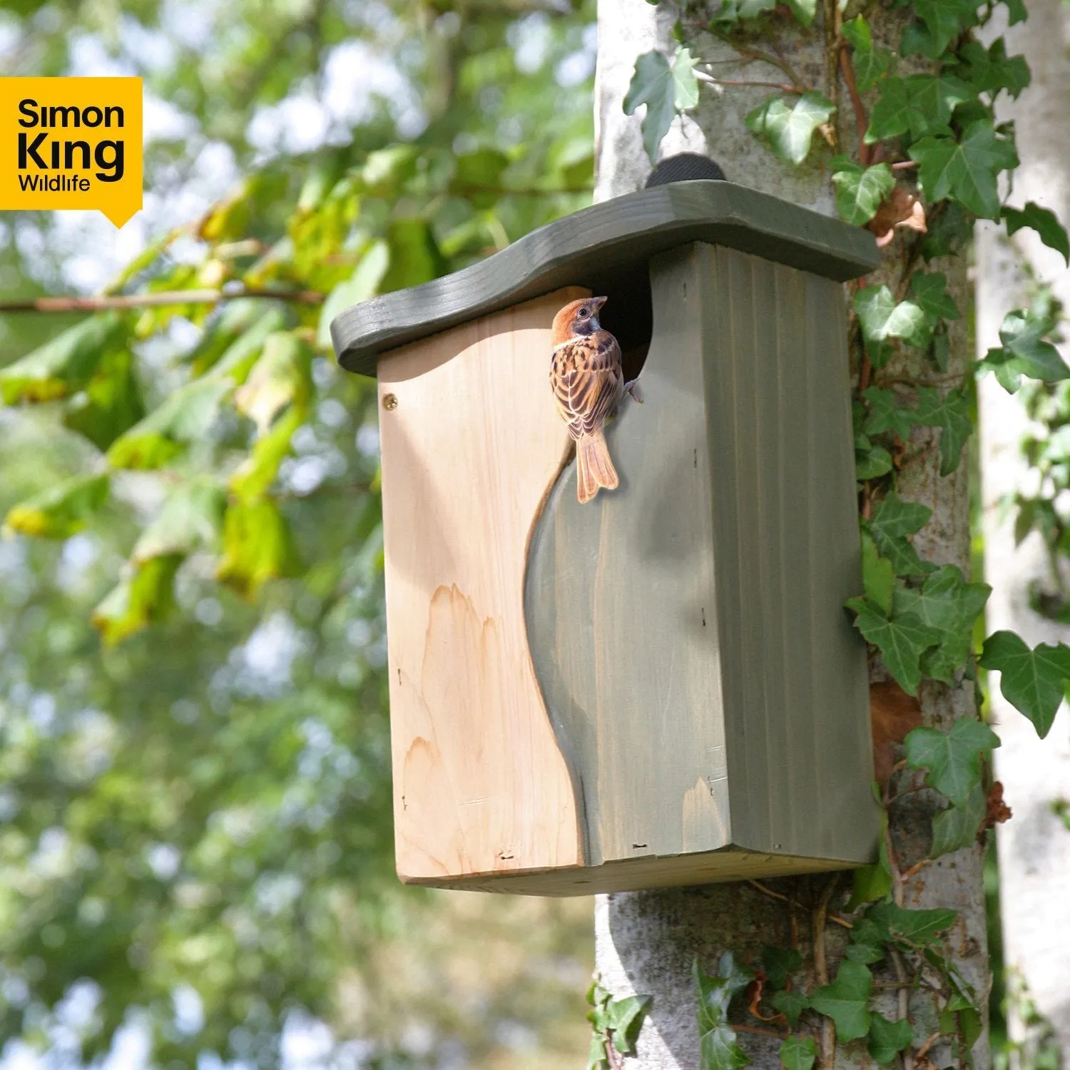 Wildlife World Simon King Curve Cavity Nest Box